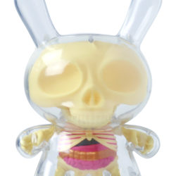 Kidrobot 8" Visible Dunny by Jason Freeny front