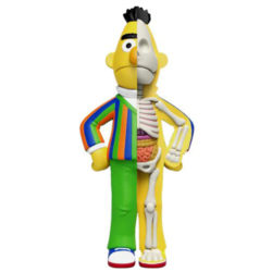 Freeny's Hidden Dissectibles: Sesame Street - Bert