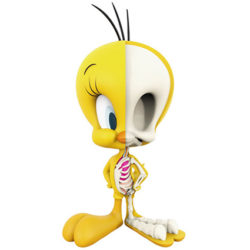 Mighty Jaxx XXRay Looney Tunes Tweety