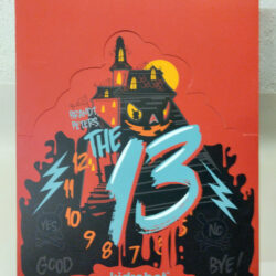 Kidrobot-Dunny-The-13-Series-Leercase-empty-Case